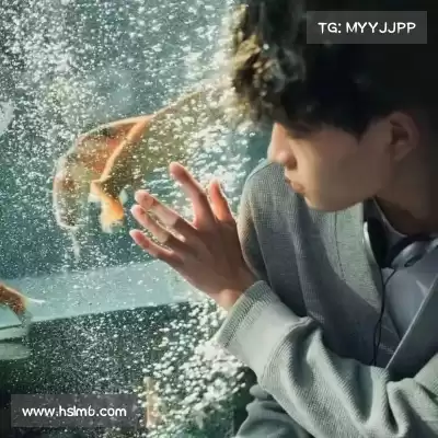翁赢宝